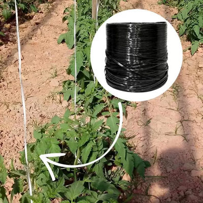 Colorful PP Polypropylene Twine Rope UV Resistant High Strength Twisted Baler Twine for Farm Greenhouse Garden Tomato Vine Support Bundling Packing