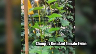 UV-bestendig tomatenbindtouw voor sterke ondersteuning van planten