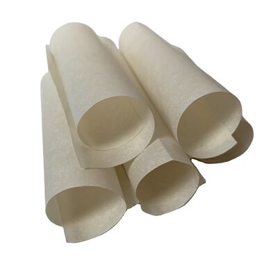 Isolatieweerstand 1,12 maal 10 tot de macht van 14 ohm motor isolatie papier ontworpen om hitte tot 300 graden Celsius te weerstaan