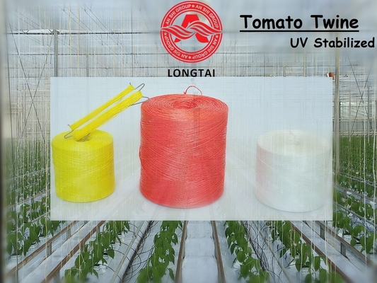 1mm 1.5mm Kleurrijke Polypropyleenstreng voor Tomaat het Binden/Polystrengkabel